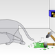Image for article titled 10 Pseudo-Science Theories We'd Like to See Retired Forever